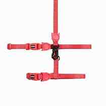 ARNES CAT NEON CORAL 